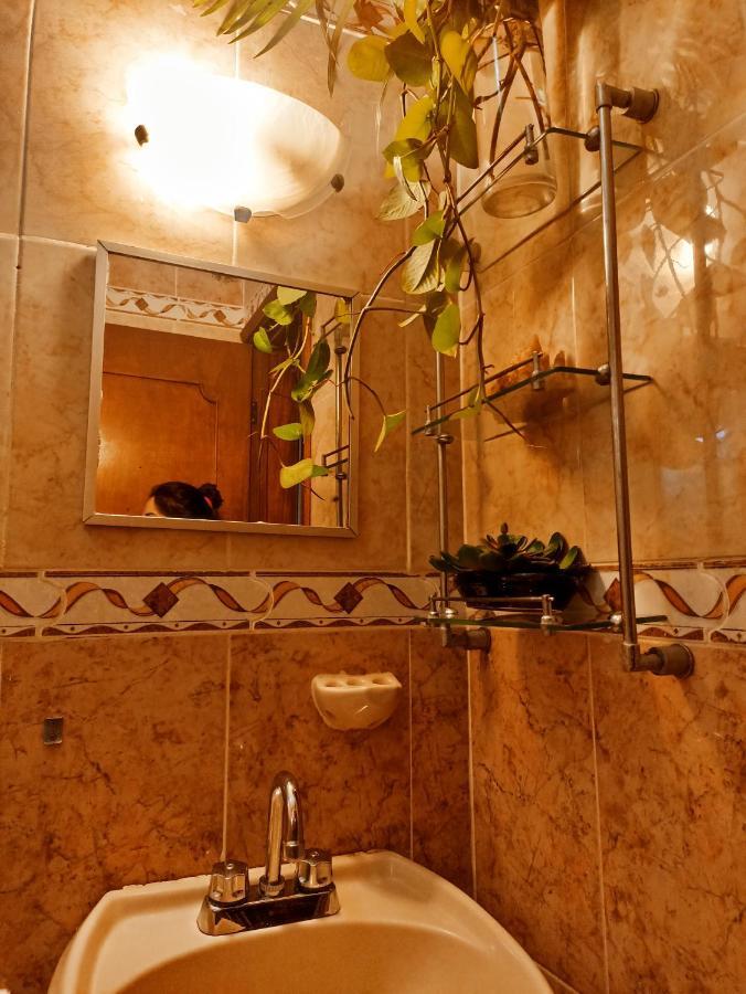 Casa De Los Pajaros - B&B Валядолид Екстериор снимка