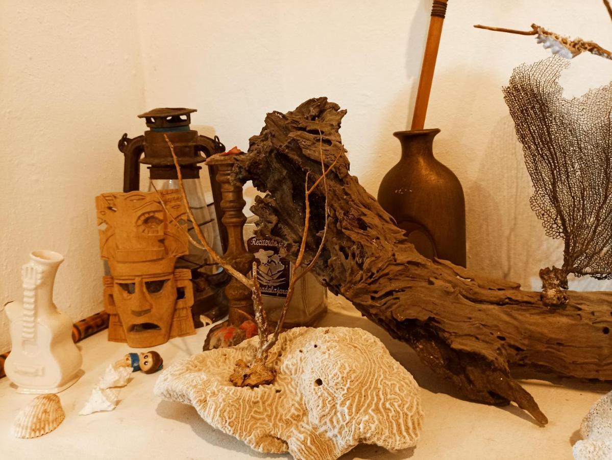 Casa De Los Pajaros - B&B Валядолид Екстериор снимка