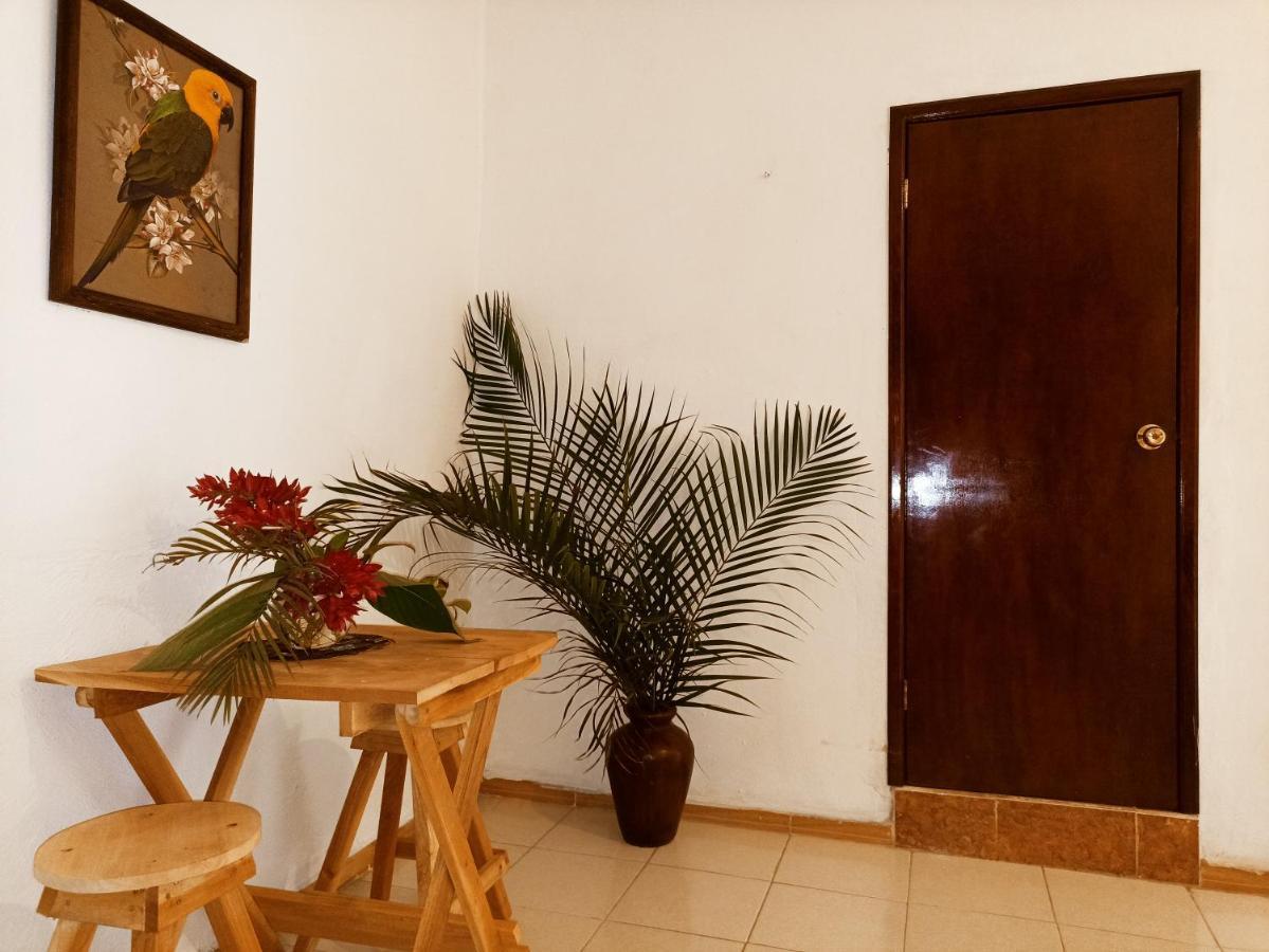 Casa De Los Pajaros - B&B Валядолид Екстериор снимка