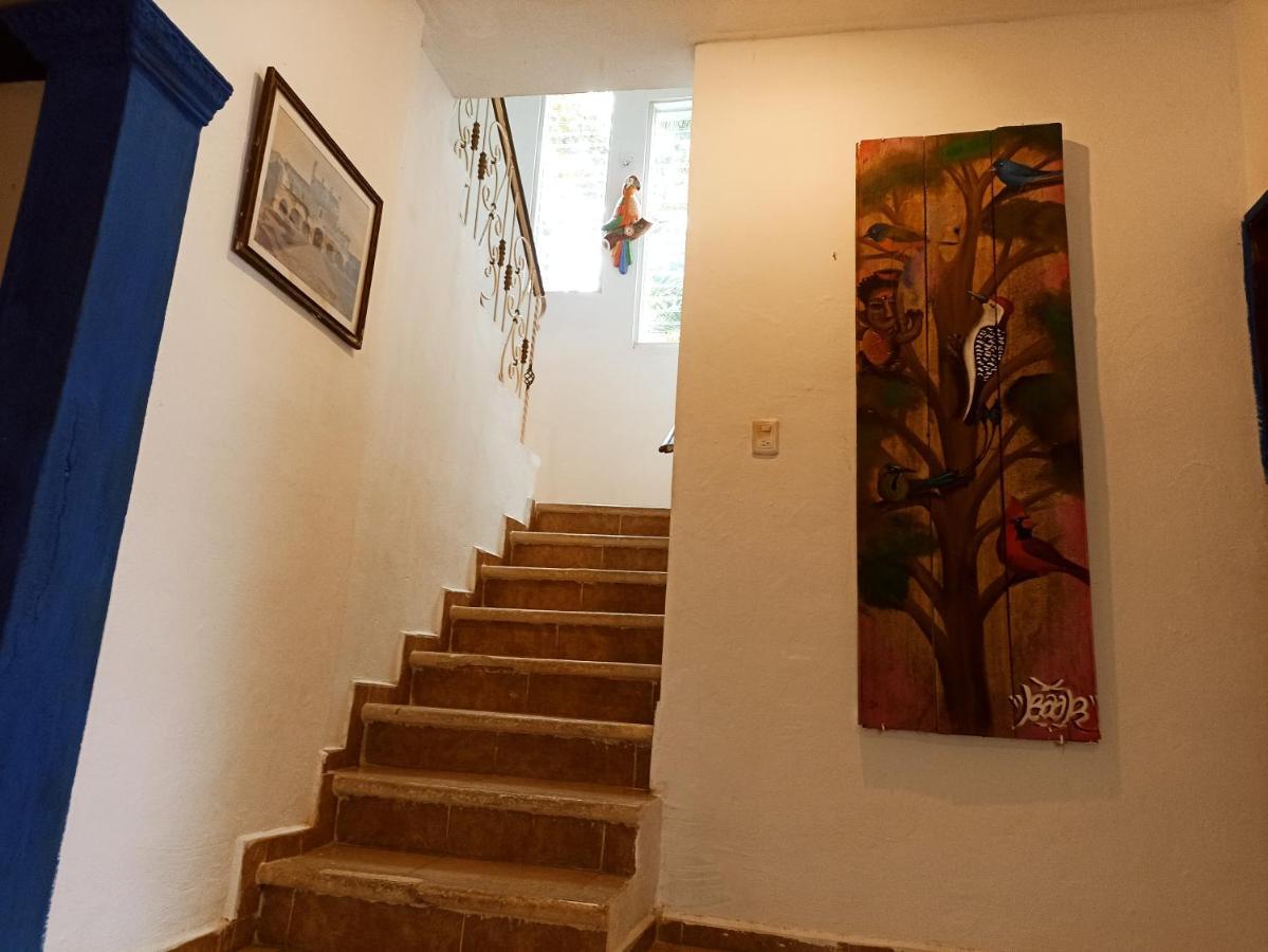Casa De Los Pajaros - B&B Валядолид Екстериор снимка